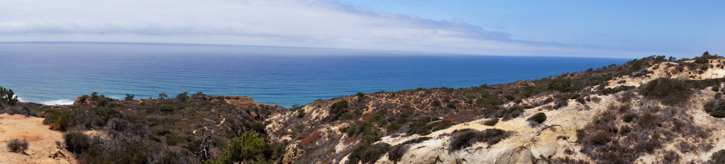 TorreyPineLandscape.jpg