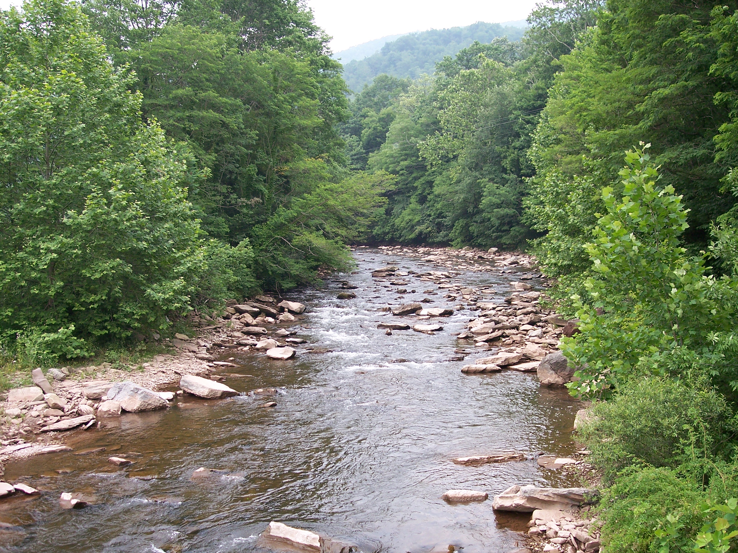 Dry_Fork_Cheat_River_West_Virginia.jpg