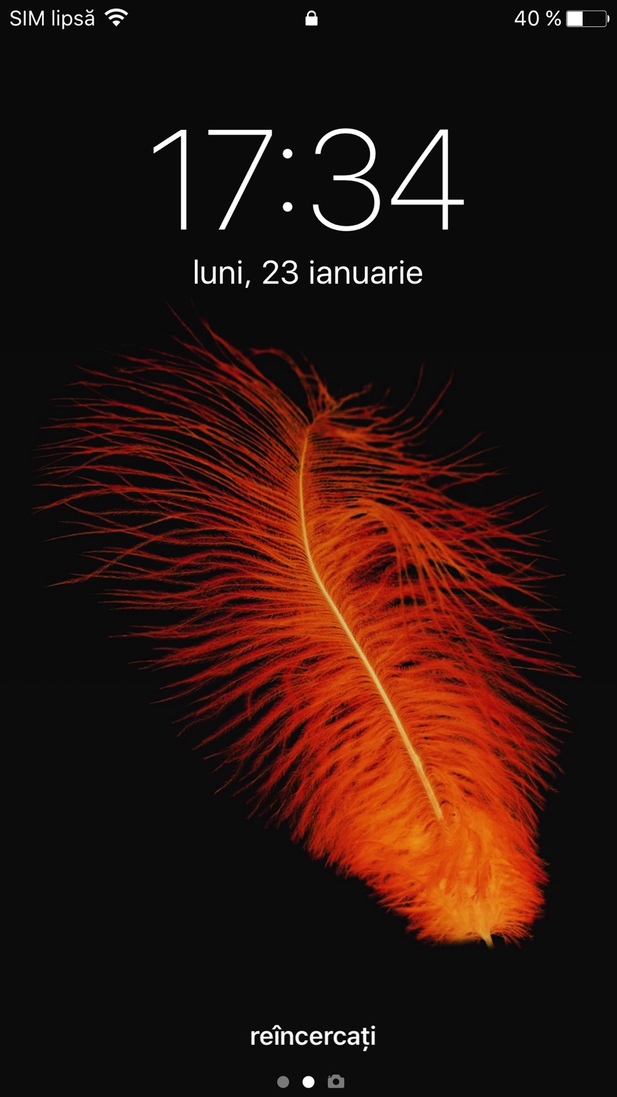 c0ca538c17753795420fe96a433c78bb.png
