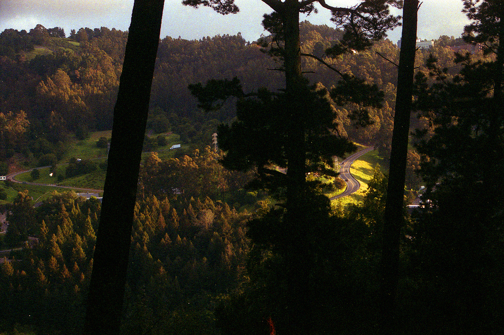 4580063012_4d612b0f98_b.jpg