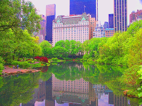 ny_plaza_hotel_duck_pond_central_park_view_12_141.jpg