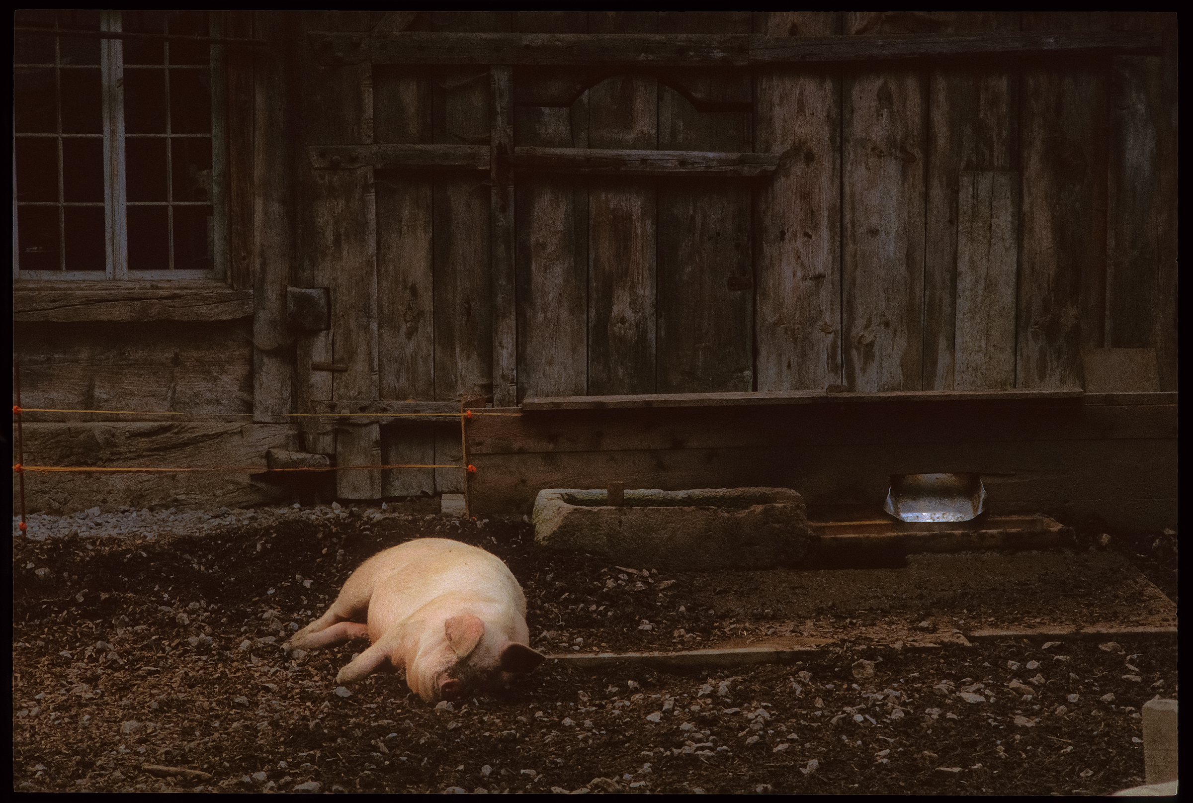 Scan_439.jpg