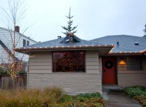 Christmas-tree-through-roof-300x220.jpg