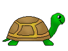 turtle1.gif