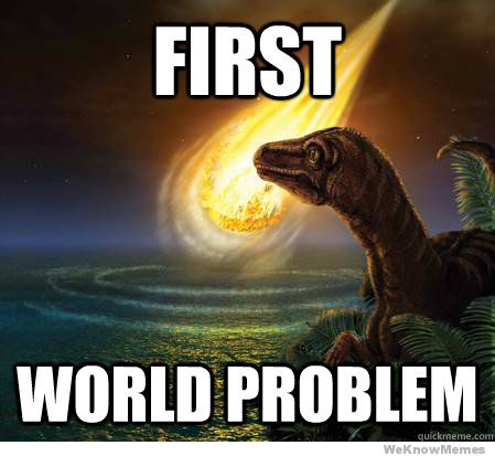 first-world-problem.jpg