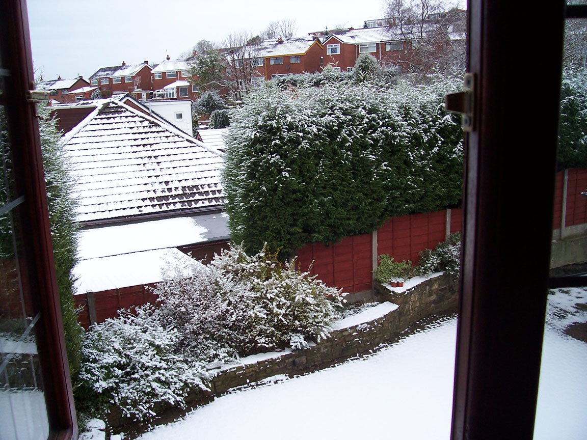 snow.jpg