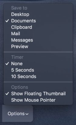 mojave-screenshot-options-250x413.jpg