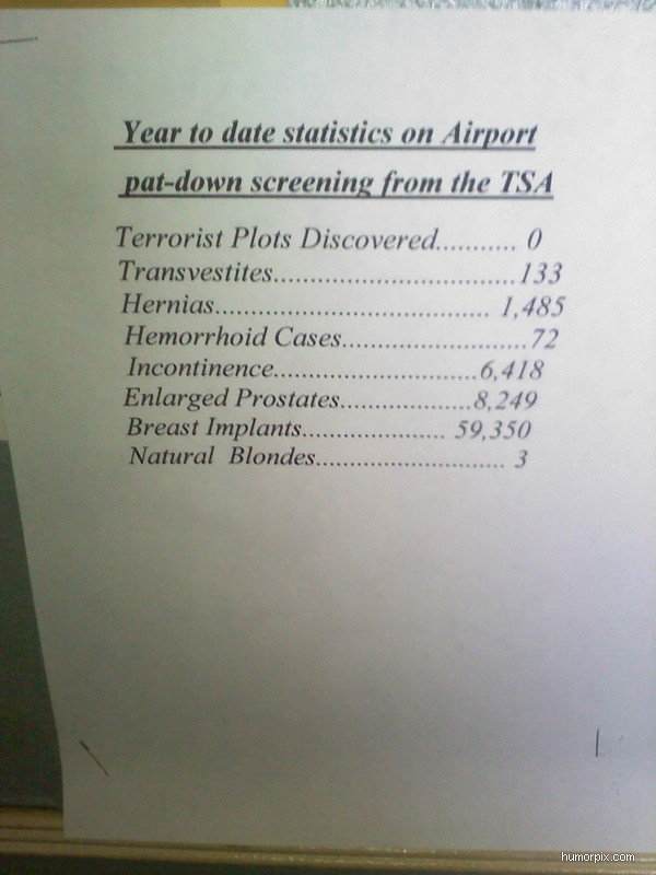 TSA_statistics0-size-600x0.jpg