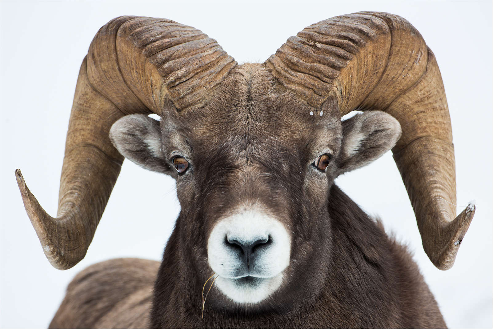 b9c6e4e5_jasper-ram-c2a9-christopher-martin-5702.jpeg