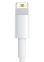 lightning_connector.jpg