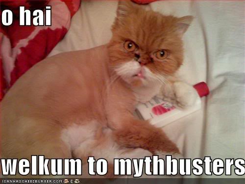 awesomecat.jpg
