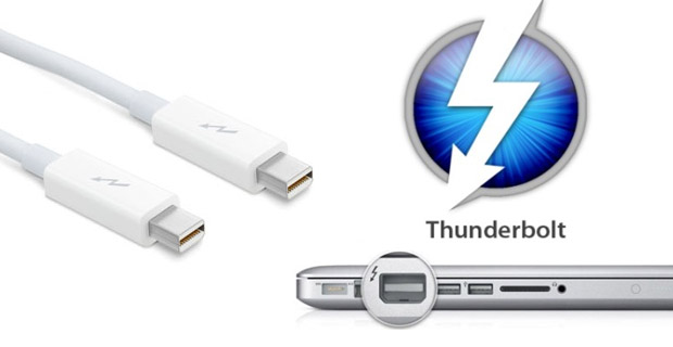 thunderbolt_macho_e_femea.jpg