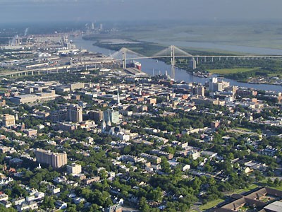savannah.jpg
