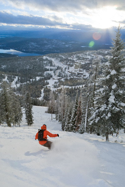 whitefish.jpg
