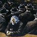 3cbd0a9c.gif