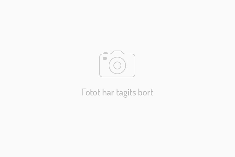 Sk%C3%A4rmavbild%202011-06-13%20kl.%2011.39.50.png