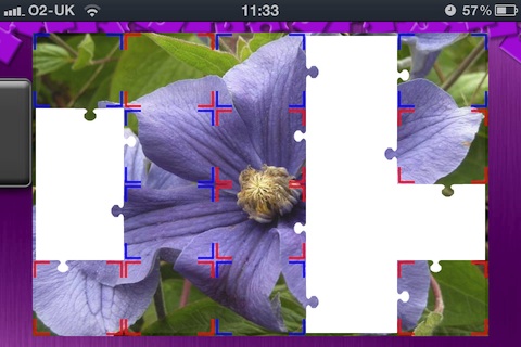 jp_clematis.jpg
