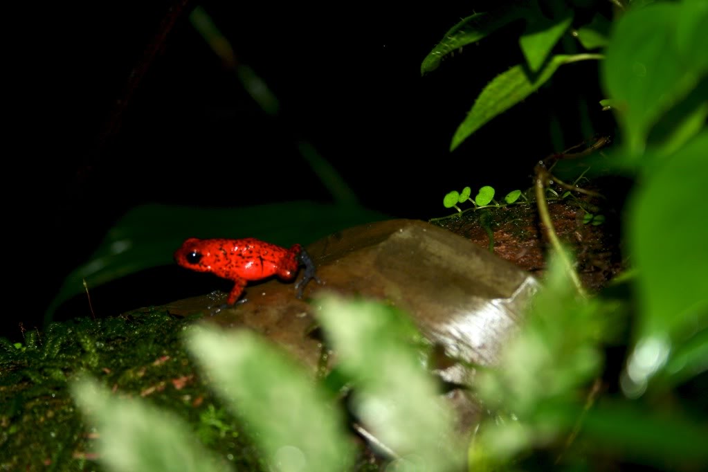 2011-02-03at16-24-01.jpg