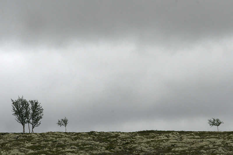 noorwegen0050.jpg