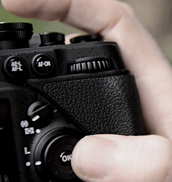 Nikon-Df-camera-back.jpg