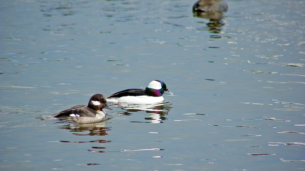 IMG_4436.jpg