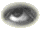 eyegrey.gif