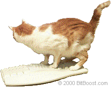 peanut-on-kybd-009.gif