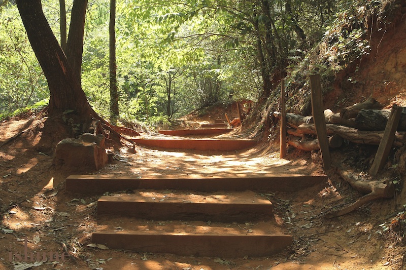 ochretrail1.jpg