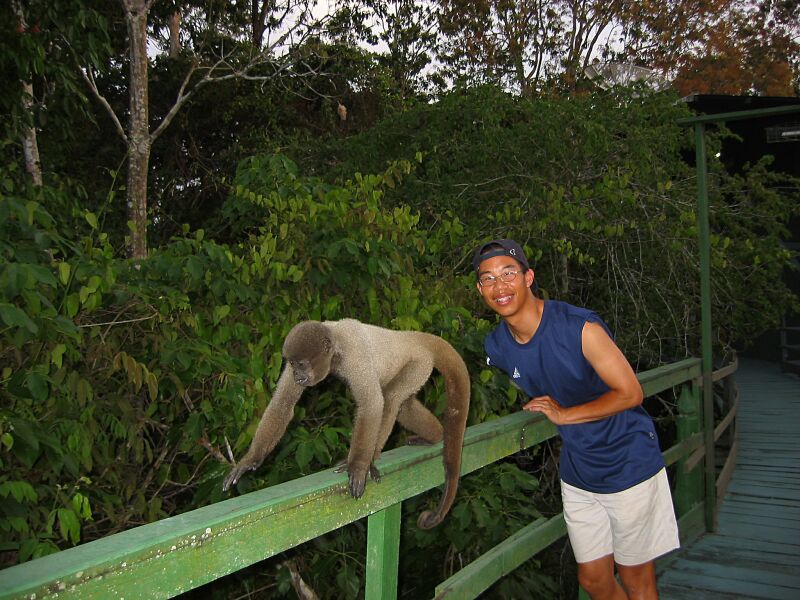 monkey_butt.jpg