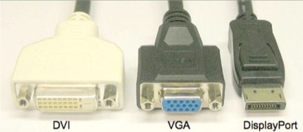 21631.jpg