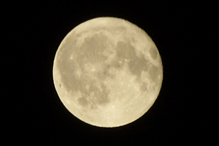 moon_crop.jpg