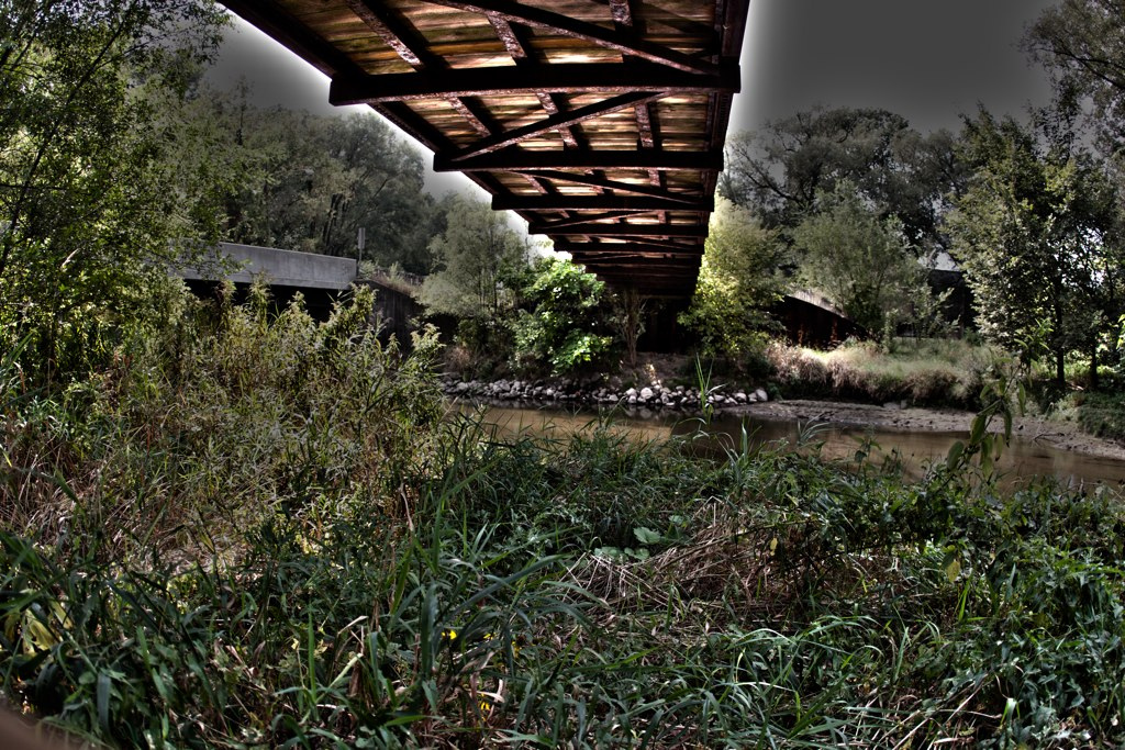 4946206175_7a7c367a2d_b.jpg