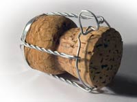 champagne-cork.jpg