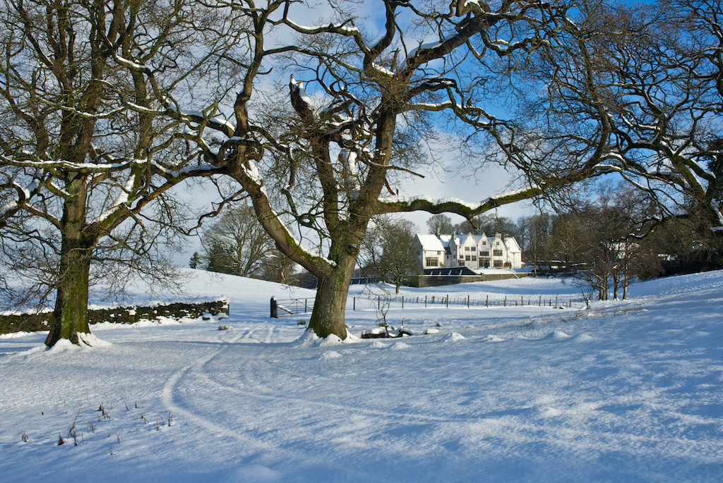 snowy1.jpg