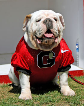 UGA.JPG