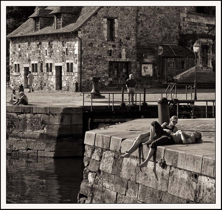 france004.jpg