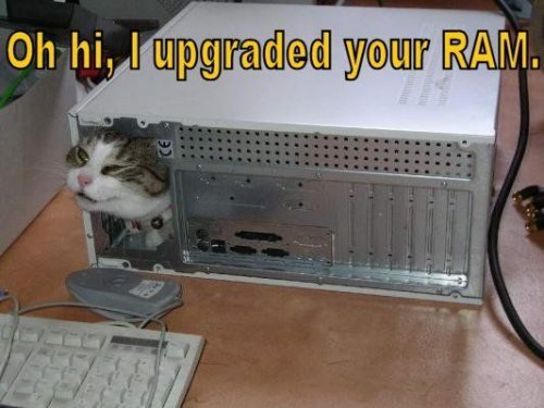 SrCIdNm.jpg