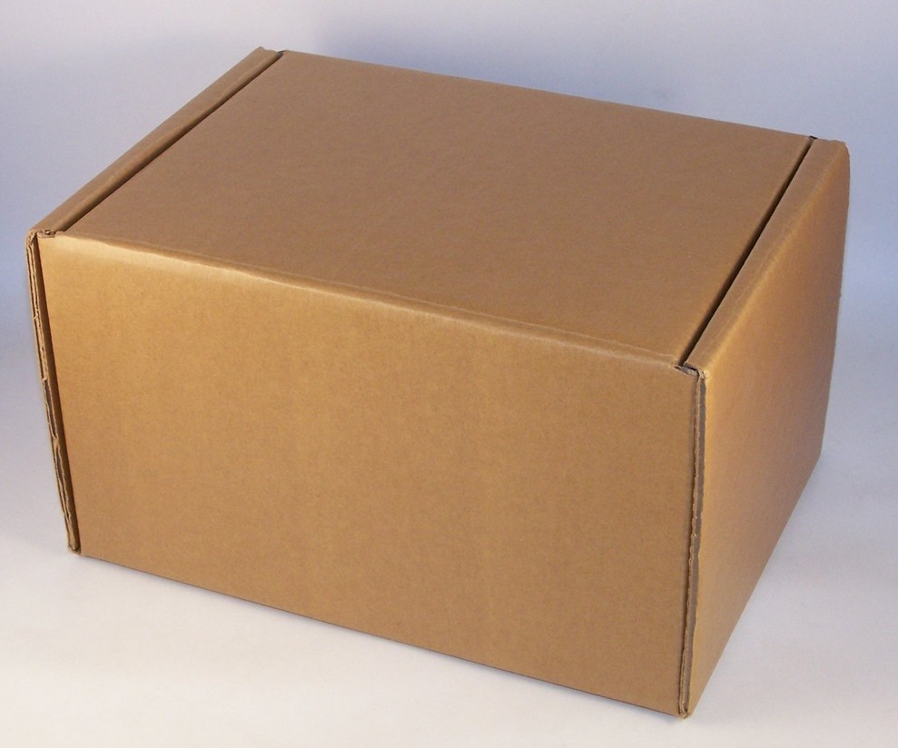 Die-Cut-Cooler-Shipping-Box.jpg