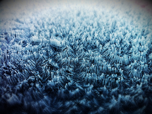 5369634960_ed06a4d8f9.jpg