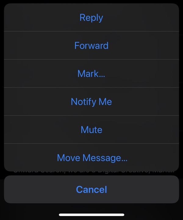 mailmutemessage.jpg
