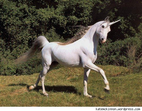 unicorn-1.jpg