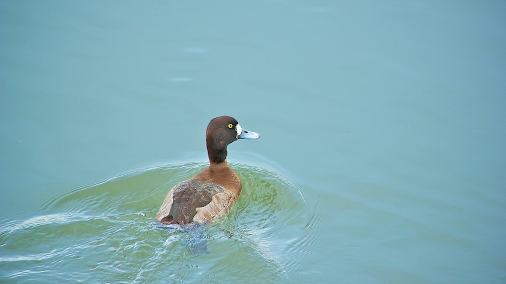 IMG_4063.jpg
