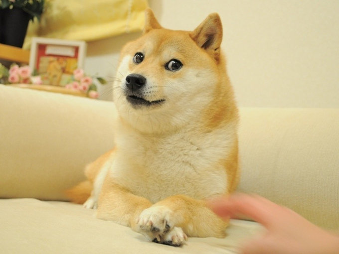 fy40OwN.png