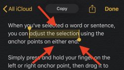 how-to-use-text-editing-gestures-copy-250x141.jpeg