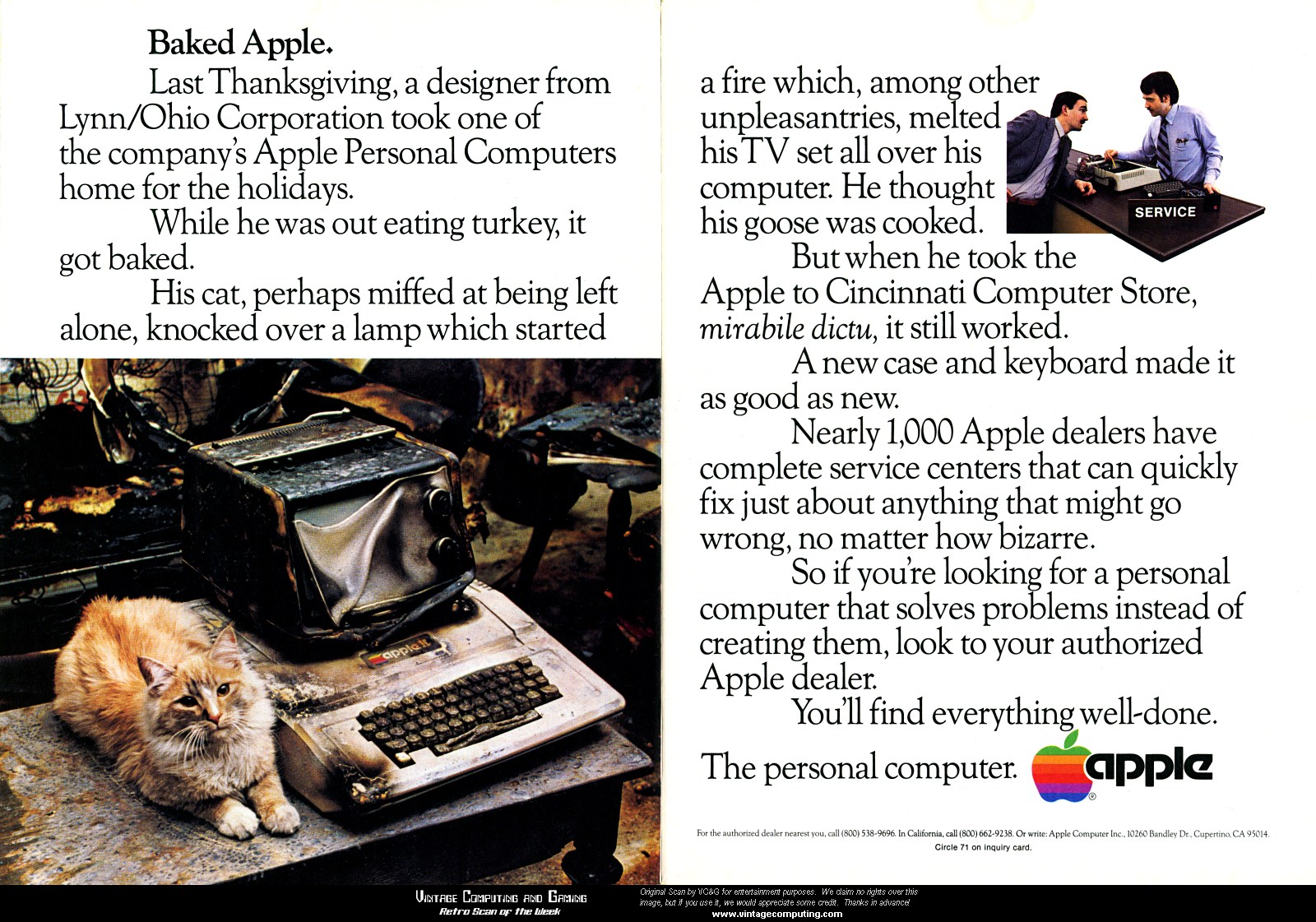 baked_apple_large.jpg