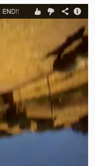 o5rtdh.jpg