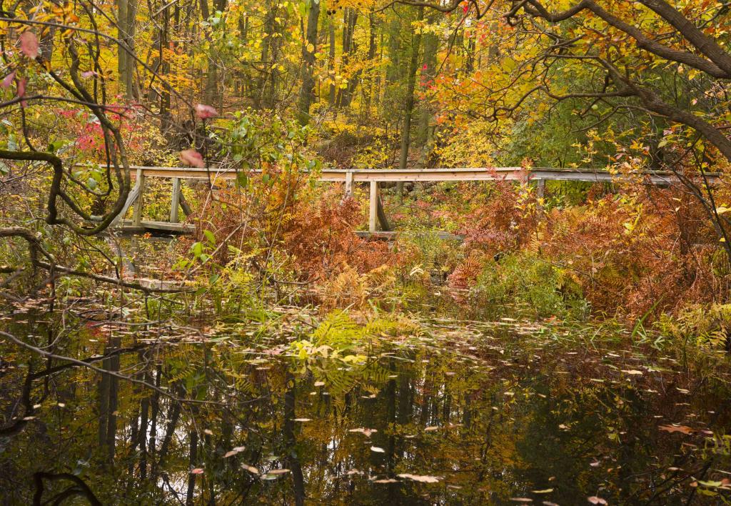 greenbrookpondbridge812.jpg