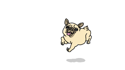 tumblr_mmfwdqRCK11rcl9fxo1_500.gif