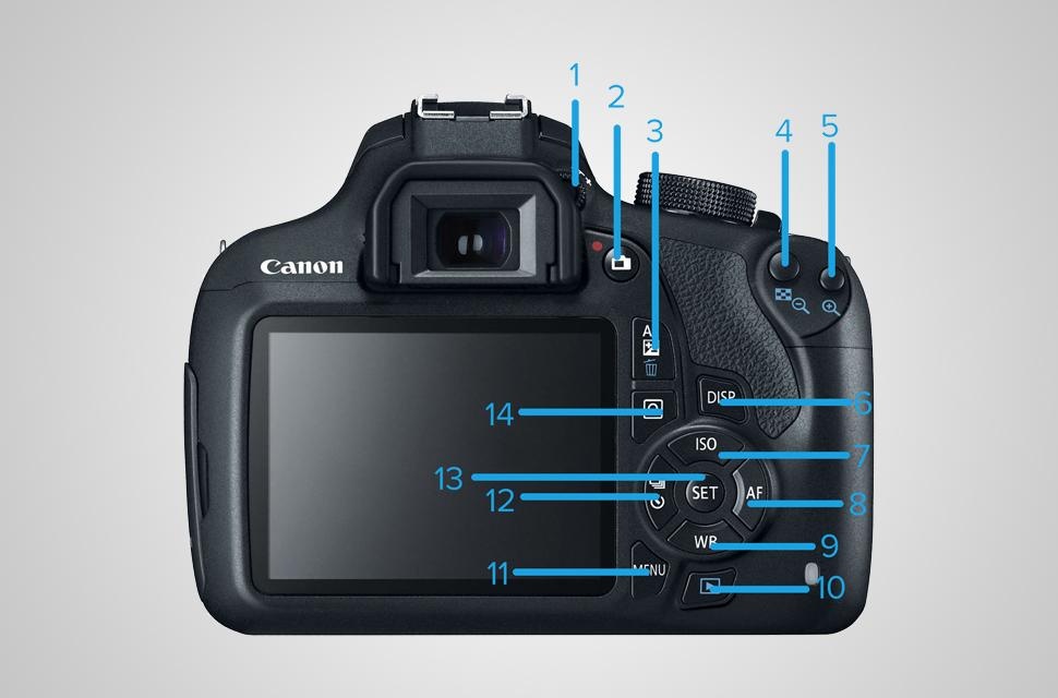 dslr-back-970x640.jpg