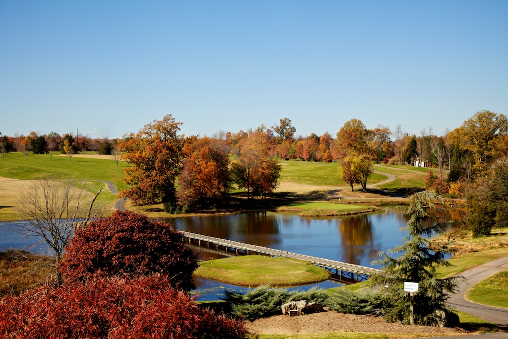 northernvaautumnps20492.jpg